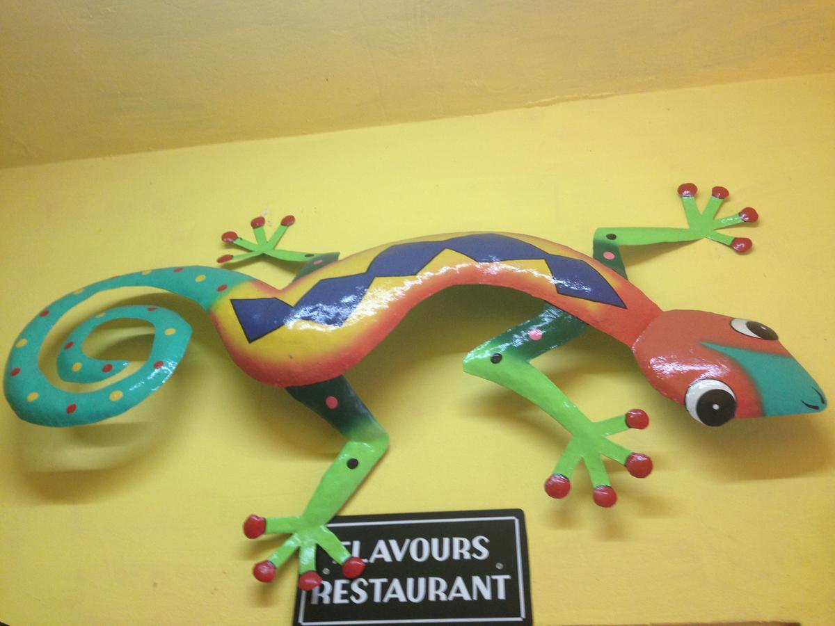 North Bay Inn Sauteurs エクステリア 写真
